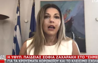 Ζαχαράκη σε ΣΚΑΪ: Με ένα κρούσμα κορωνοϊού κλείνει τμήμα με περισσότερα το σχολείο