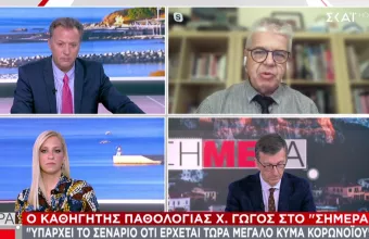 Γώγος σε ΣΚΑΪ: Δεν αποκλείεται να δούμε αυτή την βδομάδα πάνω από 1000 κρούσματα 