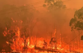 Φωτιά στο εθνικό πάρκο στα σύνορα Τσεχίας - Γερμανίας