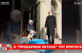 Τουρκία: Πρωτοσέλιδο ο προεδρικός σκύλος του Ερντογάν