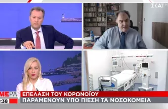 Σαρηγιάννης σε ΣΚΑΪ: Άνοιγμα της αγοράς στις 21 Δεκεμβρίου-Διατήρηση των SMS 
