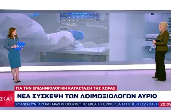 Κορωνοϊός: Σύσκεψη λοιμωξιολόγων την Πέμπτη για μεταλλάξεις και επιδημιολογική εικόνα (vid)