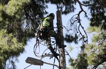 ΔΕΔΔΗΕ: Αποκαταστάθηκαν οι ζημιές μέσης τάσης σε όλες τις περιοχές -Παραμένουν κάποιες μεμονωμένες 