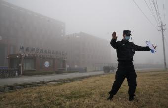 Νυχτερίδες, ορυχείο ή εργαστήριο;: Τα σενάρια για την προέλευση του κορωνοϊού 