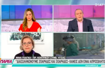 Γκάγκα σε ΣΚΑΪ: Διασωληνώνουμε 20αρηδες και 30αρηδες - Κανείς δεν είναι απρόσβλητος