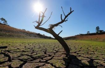 Κλίμα: Τριπλάσιες οι απώλειες στη συγκομιδή λόγω της ξηρασίας στην Ευρώπη τα τελευταία 50 χρόνια