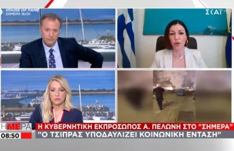 Πελώνη σε ΣΚΑΪ για lockdown: Δεν είναι της παρούσης η συζήτηση για άνοιγμα