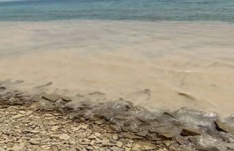 Έφτασε στη Λήμνο η θαλάσσια βλέννα του Μαρμαρά; Συσκέψεις στο Ναυτιλίας για το θέμα 