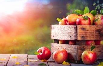 EE: Εγκρίθηκε πρόγραμμα στήριξης 25 εκ. ευρώ σε παραγωγούς μήλων και κάστανων