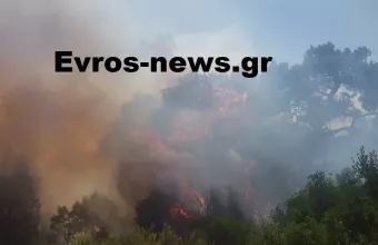 Αλεξανδρούπολη: Mαίνεται το πύρινο μέτωπο στον Έβρο- Εκκενώνεται η Λευκίμμη Σουφλίου (pics)