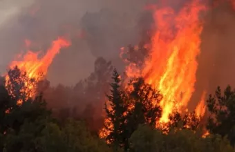 Σε ποιες περιοχές υπάρχει υψηλός κίνδυνος πυρκαγιάς (κατηγορία κινδύνου 4) την Κυριακή (pic) 
