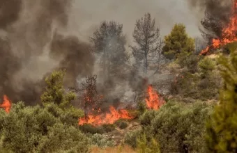 Έβρος: Σε ύφεση η φωτιά - Επέστρεψαν στα σπίτια τους οι κάτοικοι της Λευκίμμης