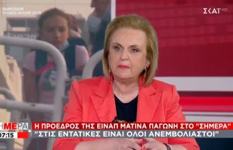 Παγώνη σε ΣΚΑΪ: Όλοι ανεμβολίαστοι στις ΜΕΘ - Να πείσουμε, οι απειλές δεν πιάνουν
