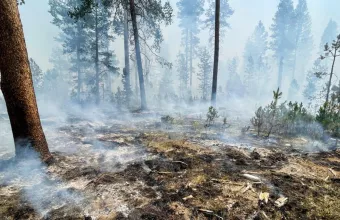 Aστεροσκοπείο: Η καμένη έκταση στην Ελλάδα φέτος ξεπερνά τα 930.000 στρέμματα (infogr)