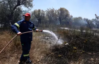 Φωτιές σε Βαρνάβα και Ελευσίνα - Ισχυρές δυνάμεις - Πού υπάρχει διακοπή κυκλοφορίας