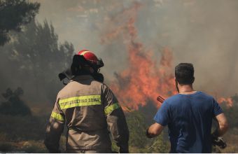 Πυροσβεστική: 64 δασικές πυρκαγιές σε ένα 24ωρο – Η εξέλιξη των πύρινων μετώπων
