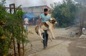 Τουρκία: Στους 6 οι νεκροί από τις καταστροφικές πυρκαγιές - Δριμεία κριτική δέχεται ο Ερντογάν