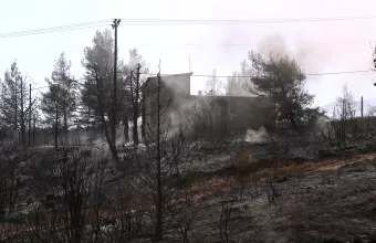 Πάνω από 650.000 στρέμματα οι καμένες εκτάσεις σε Εύβοια, Αττική και Λακωνία έως το μεσημέρι της Κυριακής