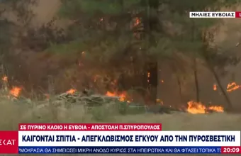 Φωτιά- Εύβοια: Κλήση στην Πυροσβεστική για απεγκλωβισμό εγκύου στις Μηλιές (vid)