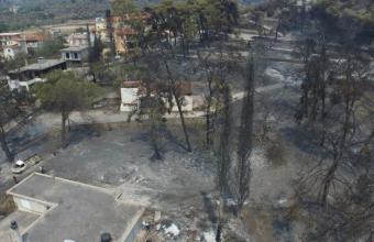 «Δεν υπάρχει αύριο»: To oδοιπορικό του ΣΚΑΪ στην καμένη Εύβοια- H κραυγή απόγνωσης των κατοίκων