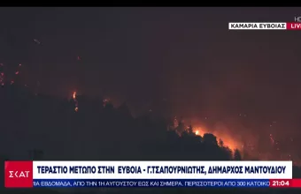 «Κραυγή αγωνίας» από Δήμαρχο Μαντουδίου: Αν δεν γίνουν σωστές κινήσεις θα καεί όλη η Εύβοια (vid)