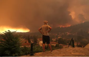 Τα δάση και τα μάτια μας