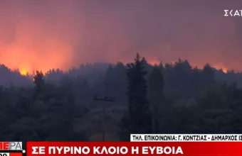 Πυρκαγιές Εύβοιας-Δήμαρχος Ιστιαίας σε ΣΚΑΪ: Ο δήμος περιμένει να ζήσει το ολοκαύτωμα του