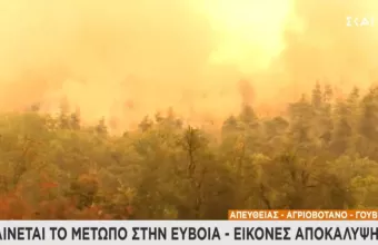 Κρίσιμες ώρες με την φωτιά στη Εύβοια: Δύσκολη κατάσταση στο Βόρειο μέτωπο -Απειλεί χωριά