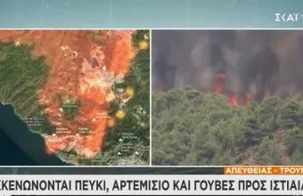 Πύρινη κόλαση στην Εύβοια- Μήνυμα 112: Εκκενώνονται Πευκί, Αρτεμίσιο και Γούβες προς Ιστιαία
