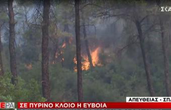 Εύβοια- Ανεξέλεγκτη η φωτιά: Σε πύρινο κλοιό Ελληνικά, Βασιλικά, Ψαροπούλι-Νέα εντολή εκκένωσης