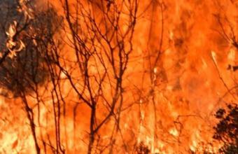 Πυρκαγιές - Ελλάδα: Αυτές είναι οι περιοχές χωρίς ρεύμα- Η ανακοίνωση του ΔΕΔΔΗΕ