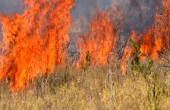 Συνελήφθησαν μια 29χρονη και ένας 54χρονος για εμπρησμό στην Ομόνοια και το Χαϊδάρι