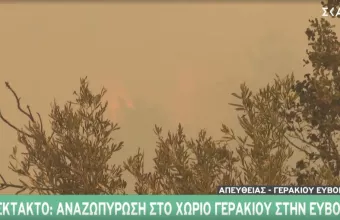 Πυρκαγιές-Εύβοια: Αναζωπύρωση στο χωριό Γερακιού