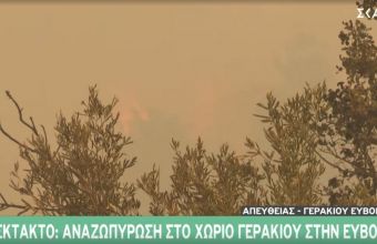 Πυρκαγιές-Εύβοια: Αναζωπύρωση στο χωριό Γερακιού