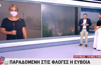 Εύβοια: Μάχη με τις αναζωπυρώσεις σε Γούβες και Αρτεμίσιο