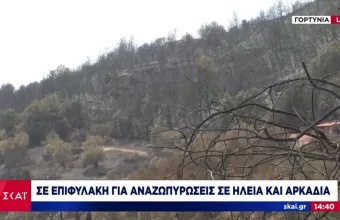 Σε επιφυλακή για αναζωπυρώσεις στην Ηλεία -Σε κατάσταση έκτακτης ανάγκης 4 δημοτικές ενότητες