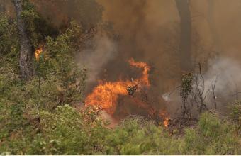 Μαίνεται η φωτιά στην Εύβοια -Οργανώνονται οι εκκενώσεις χωριών