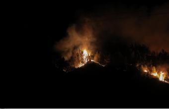 Ελλάδα: Πάνω από 500.000 στρέμματα, καμένη γη μετά τις φωτιές του Ιουλίου