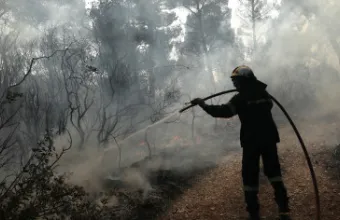 Ραδιομαραθώνιος για την αναδάσωση των καμμένων περιοχών