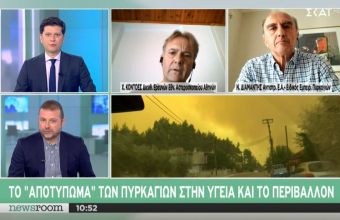 Διευθυντής Αστεροσκοπείου σε ΣΚΑΪ: Πάνω από 75.000 στρέμματα καμένης γης σε Αττική, πάνω από 200.000 σε Εύβοια 