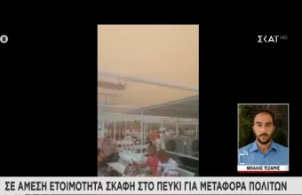 Εύβοια- Συνεχίζεται ο πύρινος εφιάλτης: Απομακρύνονται πολίτες από το Πευκί με φέρι μποτ