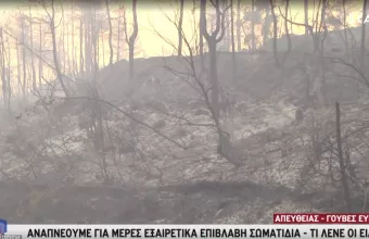 Παγώνη σε ΣΚΑΪ: Τα σωματίδια είναι ό,τι χειρότερο για το αναπνευστικό μας σύστημα