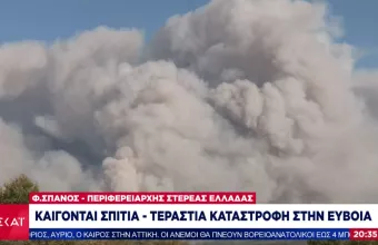 Περιφερειάρχης Στερεάς Ελλάδας- ΣΚΑΙ: Ρεαλιστικό σενάριο η φωτιά να φτάσει στα Πολιτικά Ευβοίας
