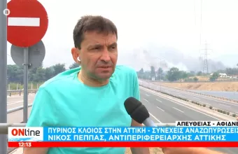 Αντιπεριφερειάρχης Αττικής - ΣΚΑΪ: Δίνουμε μάχη να μην περάσει η φωτιά απέναντι στην εθνική