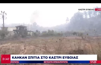 Εύβοια: «Κρανίου τόπος» στο Καστρί- Οδοιπορικό ΣΚΑΙ στα καμένα σπίτια