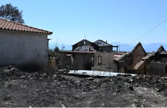 Φωτιά - Βίλια: Καλύτερη η κατάσταση, επιχειρούν δυνάμεις της πυροσβεστικής σε όλη την περίμετρο
