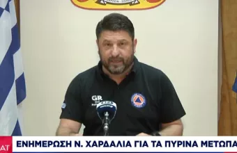 Χαρδαλιάς: Δύσκολη η κατάσβεση στην Εύβοια λόγω ανέμου, καπνού -Οι 3 προϋποθέσεις για ρίψη