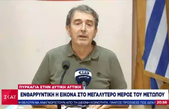 Χρυσοχοΐδης: Οριοθετήθηκε στο μεγαλύτερο μέρος της η πυρκαγιά στα Βίλια 