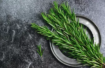 Μπορεί το αιθέριο έλαιο δενδρολίβανου να θεραπεύσει την τριχόπτωση;