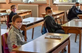 ape